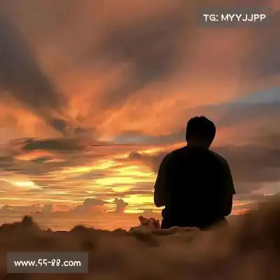 朱晶丹